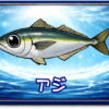アジ｜魚あだ名メーカーの魚図鑑