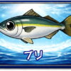 ブリ｜魚あだ名メーカーの魚図鑑