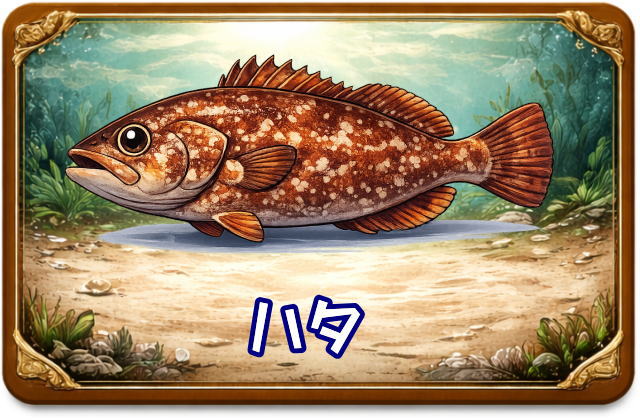 ハタ｜魚あだ名メーカーの魚図鑑