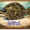 ヒラメ｜魚あだ名メーカーの魚図鑑