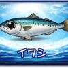 イワシ｜魚あだ名メーカーの魚図鑑