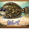 カレイ｜魚あだ名メーカーの魚図鑑