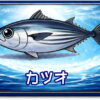 カツオ｜魚あだ名メーカーの魚図鑑