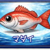 マダイ｜魚あだ名メーカーの魚図鑑