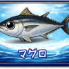 マグロ｜魚あだ名メーカーの魚図鑑