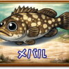 メバル｜魚あだ名メーカーの魚図鑑