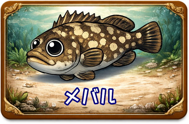 メバル｜魚あだ名メーカーの魚図鑑