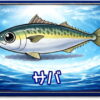 サバ｜魚あだ名メーカーの魚図鑑