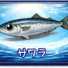 サワラ｜魚あだ名メーカーの魚図鑑